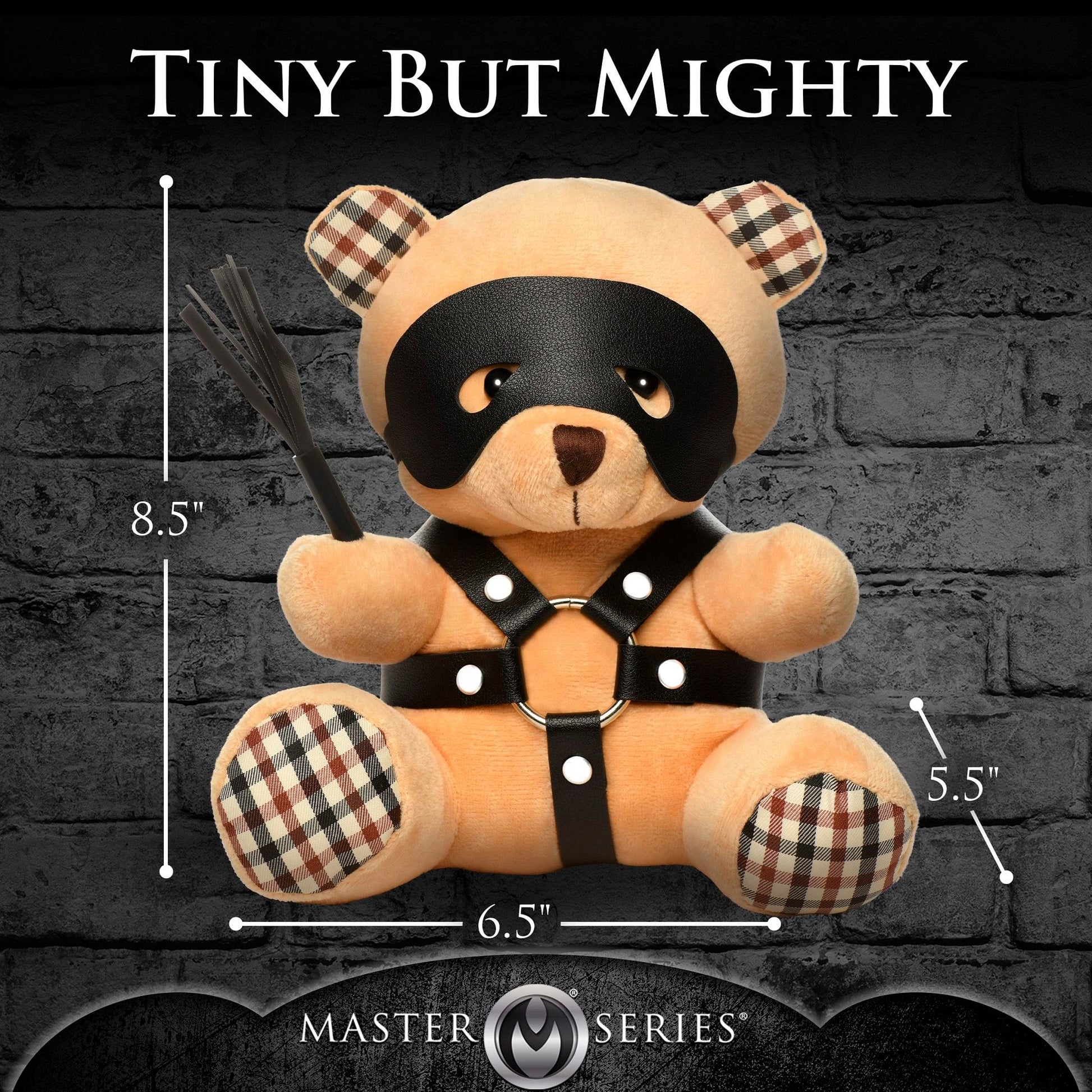 Master series bdsm bear